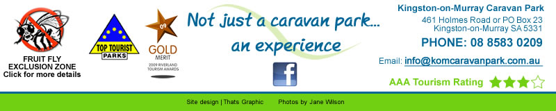 contact Kingston on Murray Caravan Park